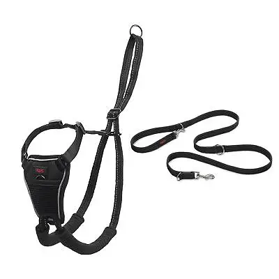 Halti Dog Training Double Ended Lead And Harness Bundle Stop Pulling On Walks • £30.99