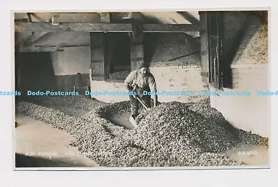 C019370 Hop Picking. The Dried Hops. Photochrom. RP. 1927 • £7.99