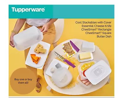 CheeSmart/Butter Dish/Cool Stackables/Cheese Knife - Your Choice - NEW • $45