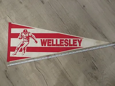 Wellesley Massachusetts High School Mass MA Vintage Felt Pennant Flag Football • $14.99