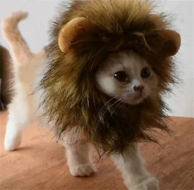 £8.92 • Buy Pet Costume Lion Mane Wig For Cat Dog Halloween Clothes Fancy Dress Up With Ears