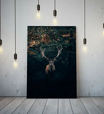 £21.24 • Buy Stag 4- Deep Framed Canvas Wall Art Picture Print- Animal Black Brown Green