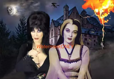 Gorgeous  SEXY   Elvira  &  Lily Munster   Halloween   Pin-Up  PHOTO! #(20f) • $9.99