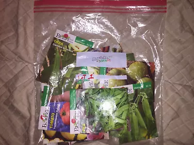 Bulk Burpee Vegetable Seed Packs Priced To Sell Dated 11/23 • $20