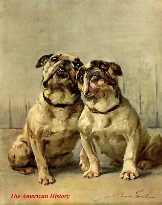 3447 Earl Maud (1864-1943) - Power Of The Dog 1910 - Miniature Bulldog • $10.86