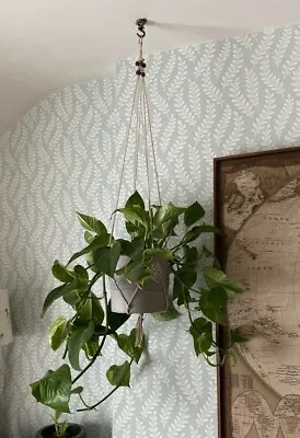 Hand Made Macrame Plant Hanger Planter Pot Holder Hanging Cotton Rope Wall Retro • £3.49
