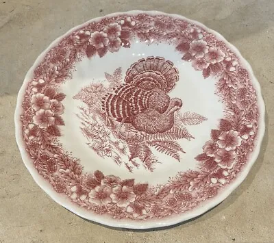 Queens Myott Factory Archive Illustrations Thanksgiving Salad Plate 8  Pink • $12