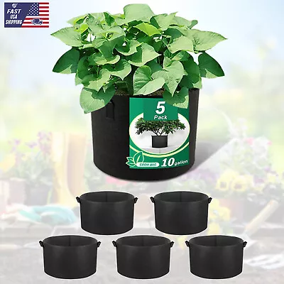 10 Gallon Planting Grow Bags Fabric Aeration Plant Pots Thickened Nonwoven 5pcs • $14.99