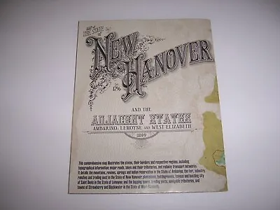 Red Dead Redemption II 2 Double-sided MAP New Hanover New Austin PS4 Playstation • $4.99