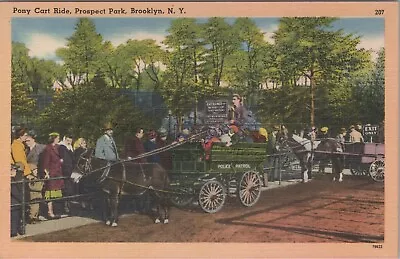 Brooklyn NY: Prospect Park Pony Cart Ride - Vintage New York NYC Linen Postcard • $2.79