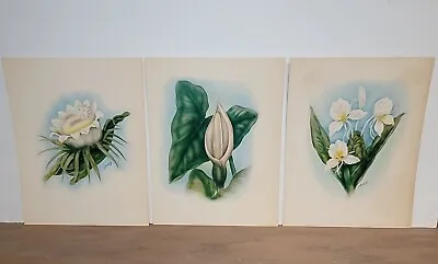 Vintage Ted Mundorff Airbrush Painting Prints LOT 3 Floral Signed • $40