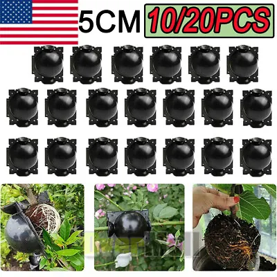 10/20X Plant Rooting Devices Growing Grafting Box High Pressure Propagation Ball • $8.24