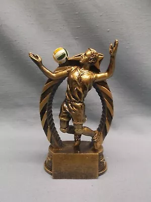 Male VOLLEYBALL Trophy Resin Award RST625 • $4.99