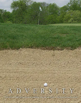Golfing Motivational Poster Art Print Golf Balls Clubs Tiger Woods Wall Decor • $9.95