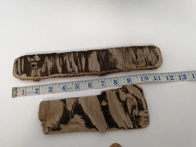 £4.50 • Buy 1353# Flat  Driftwood Worn Unique Piece. Art And Crafts. Beach Find