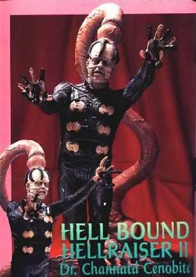 21 HELLRAISER DR.CHANNARTD CENOBITE Horror Classic Movies Vinyl Model Kit 1/4 • $35.95