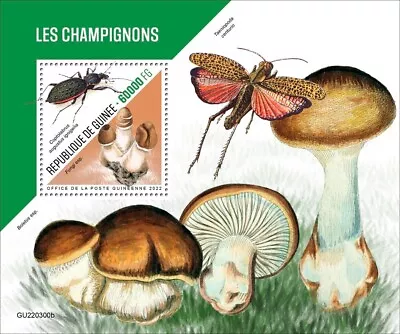 Mushrooms MNH Stamps 2022 Guinea S/S • $16.50