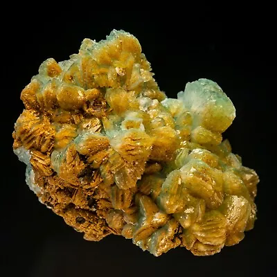 Hemimorphite  Elkhorn Mine Elkhorn Jefferson Co. Montana Harris Coll 1807-Q27 • $6000