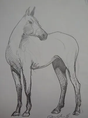 Original Hand Drawn Pencil Drawing Of A Horse On Ivory Paper  • £29.99