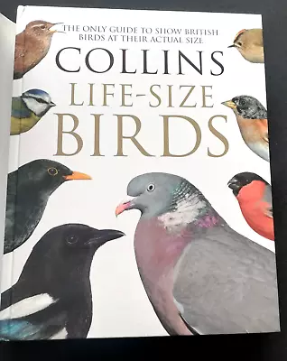 Collins Life-Size Birds: The Only Guide To Show British Birds At ... By Rob Read • £9.99