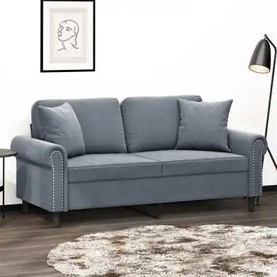 2-Seater Sofa With Throw Pillows Dark Grey 140 Cm Velvet • $381.71