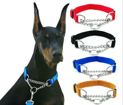Dog Collar Martingale Reflective Loop Half Check Chain Nylon 4 Colours W2.5CM • $8.89