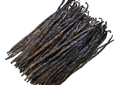 60 Madagascar Extract Grade Bourbon Vanilla Beans [5-6 Inches] • $49.90