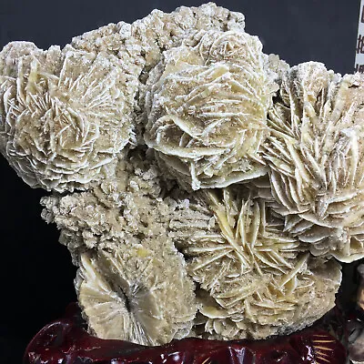 $315 • Buy Large Rare DESERT ROSE SELENITE Specimen Crystal Stone Mineral Cluster 5.26kg 
