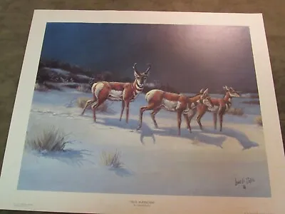 Vintage 1970's American Antelope Print True Americans Lowell Davis Image Newbern • $57