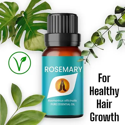 £9.99 • Buy Rosemary Oil For Healthy Hair Growth - 100% Pure Rosemary Essential Oil