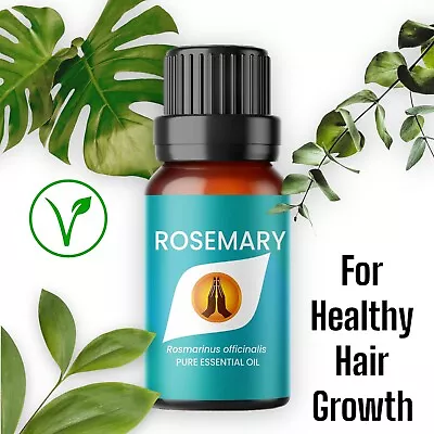 Rosemary Oil For Healthy Hair Growth - 100% Pure Rosemary Essential Oil • £3.49