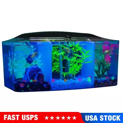 3 Gallon LED Glass Aquarium Kit For Starters With FilterWide View Fish Tank • $115.49