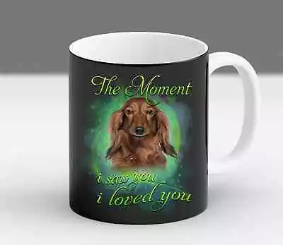 Funny Dachshund Owner Mom Dad Gift Christmas Fur Vintage Coffee Mug • $21.99