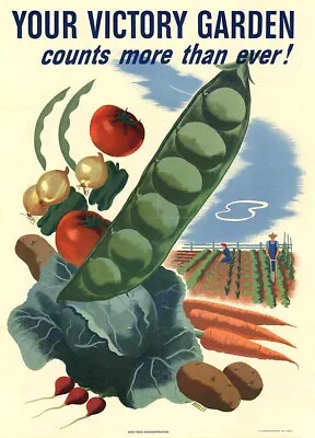 Shop Wall Your Victory Garden (USA) World War II Propaganda Poster • $16.91
