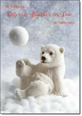 Doodlecards Sister & Brother-In-Law Christmas Card Polar Bear And Snowball • £3.49