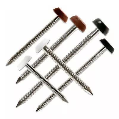 £6.95 • Buy Plastic Headed Annular Ring Shank Nails Stainless Steel Soffit Pins - 250 Box