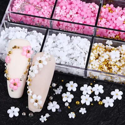 6 Grids Resin Flowers Acrylic Petals Nail Rhinestone Kit For Manicure Nail Art • $3.89