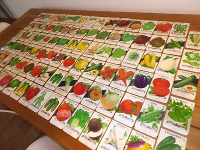 95 Vintage Seed Packet Lot 1930s-1960 Garden Texas General Store San Antonio Veg • $54.95