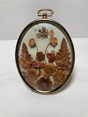 VTG Oval Gold Tone Frame Convex Glass Stand Or Hang Dried Flowers Butterfly • $14.95