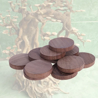 $5.71 • Buy 10x Fish Tank Aquarium Round Wooden Pieces Landscaping Accessories Handmade DIY