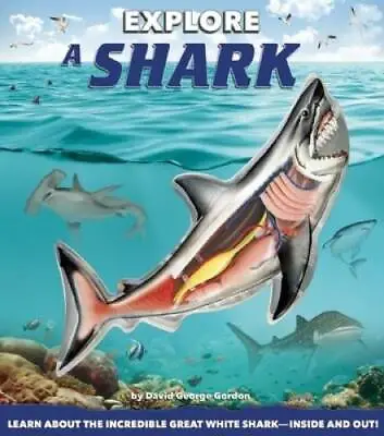 Explore A Shark - Hardcover By Gordon David George - GOOD • $4.22