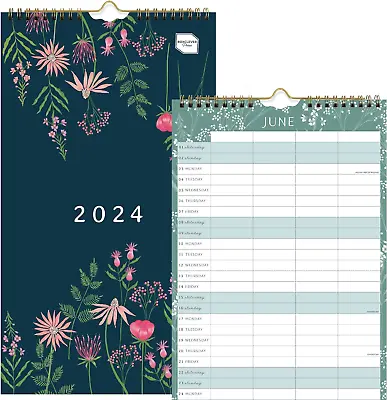 Boxclever Press Everyday Couples Wall Calendar 2024. Slimline 2024 Calendar Runs • £14.57