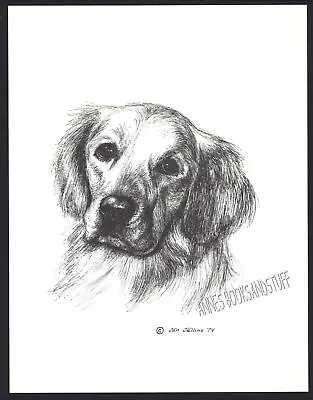 #34 GOLDEN RETRIEVER Portrait Dog Art Print * Pen And Ink Drawing By Jan Jellins • $11.95