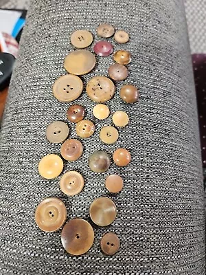 Lot Of 25 Vegetable Ivory  Vintage Buttons Some Whistles A12 • $10.99