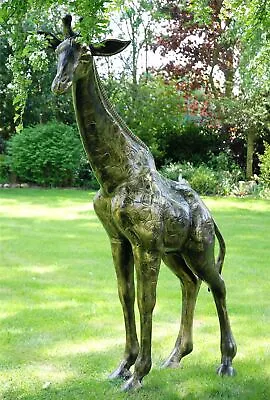 Stunning Life-Size Giraffe Garden Sculpture - Cast Aluminium Outdoor Ornament • £1925