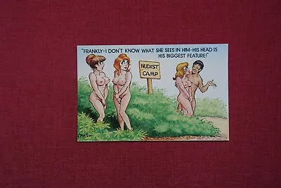 BAMFORTH COMIC POSTCARD NUDIST CAMP WOMEN BOOBS HEAD MAN No. 1065 • £1.99