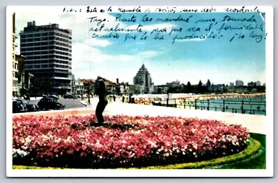 Postcard International Uruguay Montevideo Rambla On Picitos Beach • $7