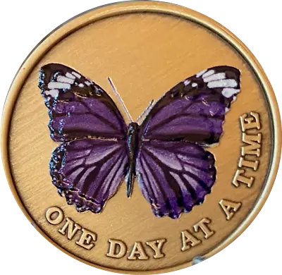 $9.99 • Buy Purple Butterfly One Day At A Time Serenity Prayer Medallion Coin