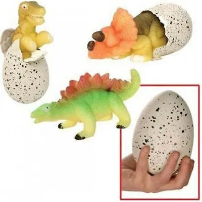 £6.95 • Buy Large Hatching Grow Your Own Dinosaur Egg Jurassic Era Toy Gift For Children