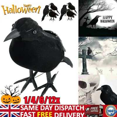 1/4/6/12x Black Lifesize Raven Movie Prop Fake Crow Halloween Hunting Decor Bird • £17.99